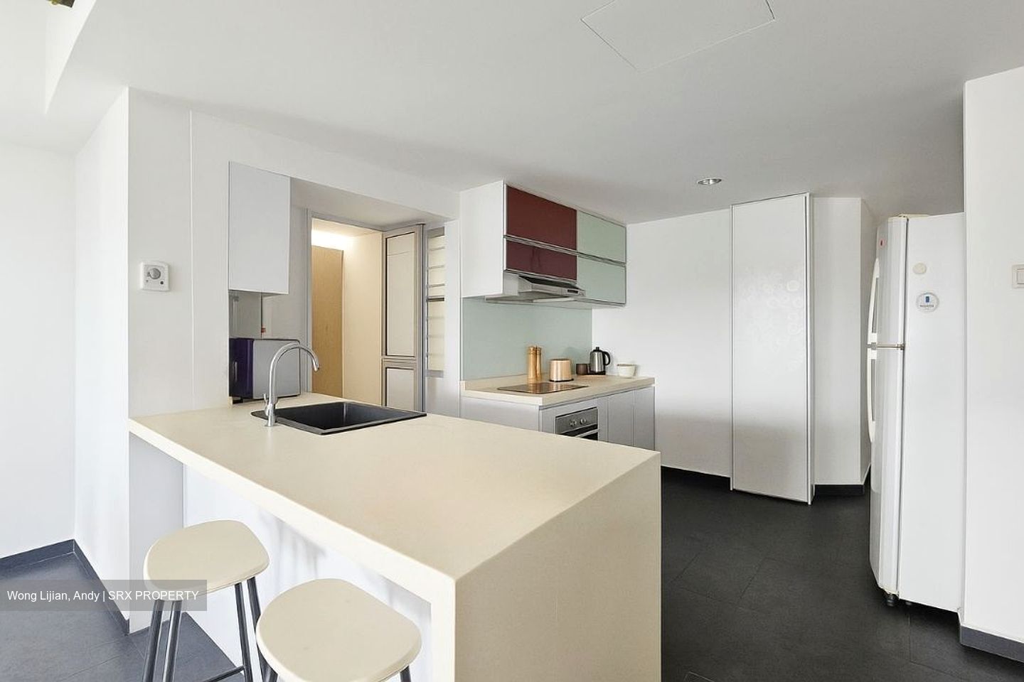 The Tanamera (D16), Condominium #501954821